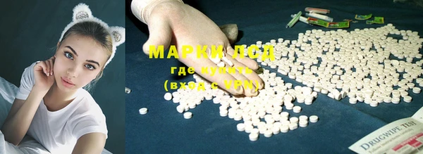 мяу мяу мука Богданович
