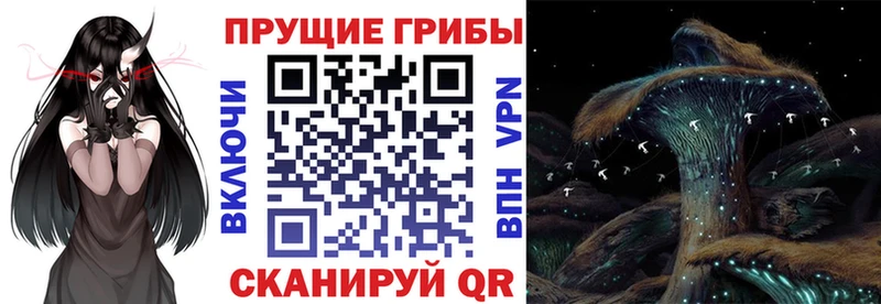 Галлюциногенные грибы Cubensis  закладка  Петрозаводск 